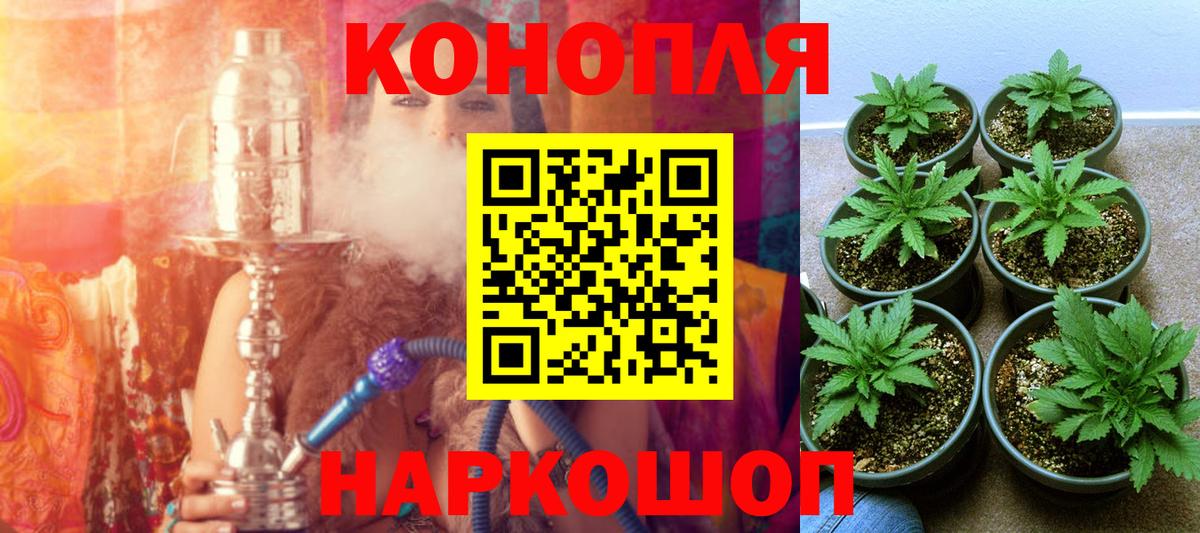 Бошки марихуана гибрид Дагестанские Огни